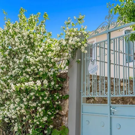 Célestine Hébergement de vacances Loukata (Kefalonia)