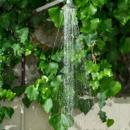 Celestine Vakantiehuis Loukata (Kefalonia)