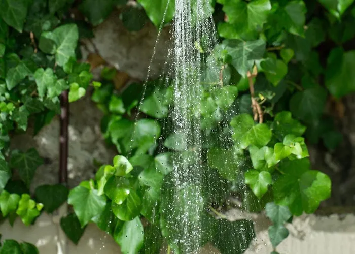 Celestine Holiday home Loukata (Kefalonia)